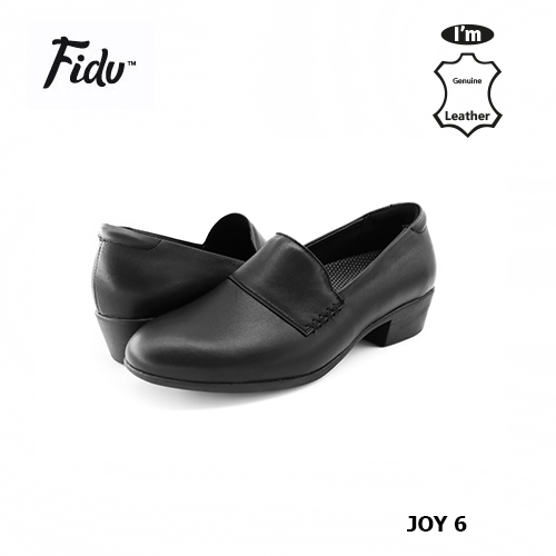 FIDU Model Joy-6 FIDU Model Joy-6