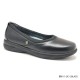 D243 Model EV 61-243 D243 Model EV 61-243