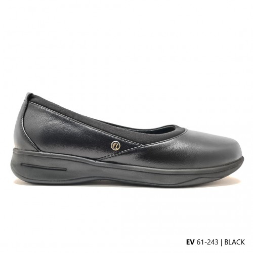 D243 Model EV 61-243 D243 Model EV 61-243