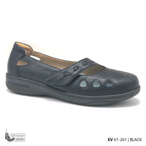 D261 Model EV 61-261 D261 Model EV 61-261