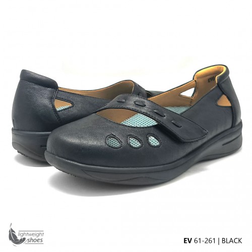 D261 Model EV 61-261 D261 Model EV 61-261