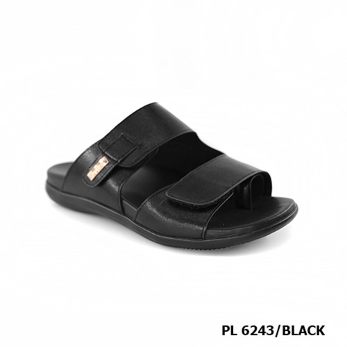 D43 Model BL 6243 D43 Model BL 6243