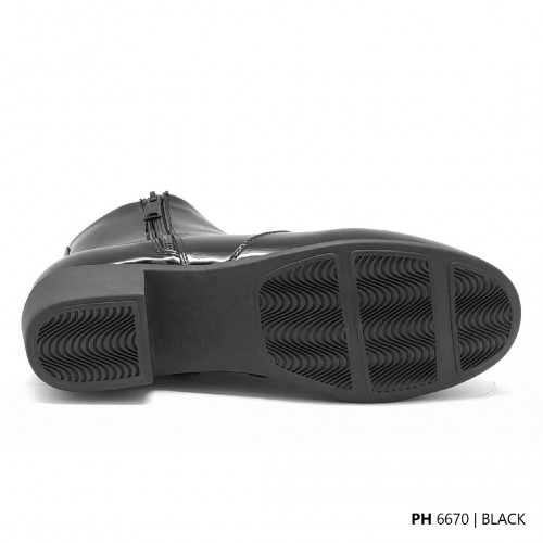 D70 Model PH 6670 D70 Model PH 6670