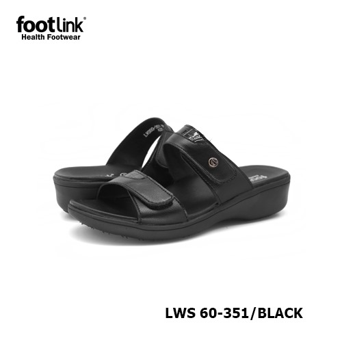 D351 Model LWS 60-351 D351 Model LWS 60-351
