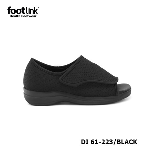D223 Model DI 61-223 D223 Model DI 61-223