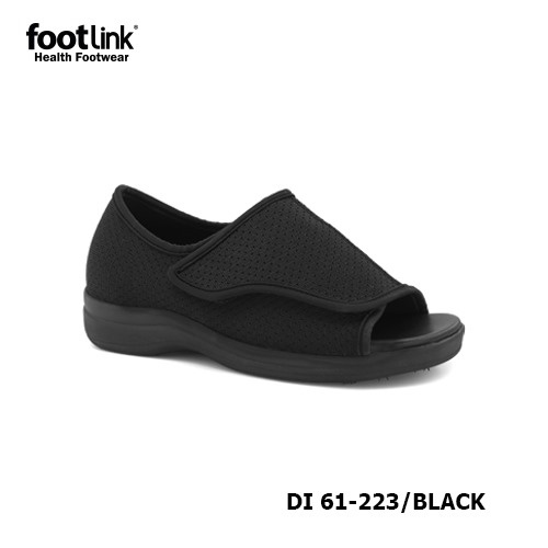 D223 Model DI 61-223 D223 Model DI 61-223