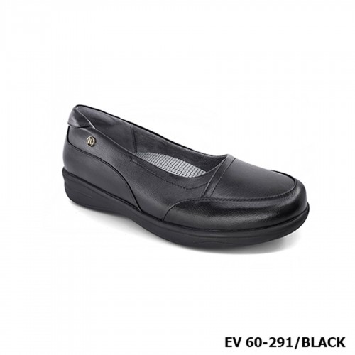 D291 Model EV 60-291 D291 Model EV 60-291