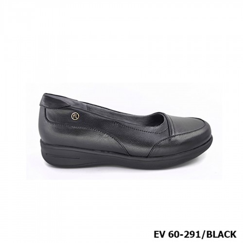 D291 Model EV 60-291 D291 Model EV 60-291