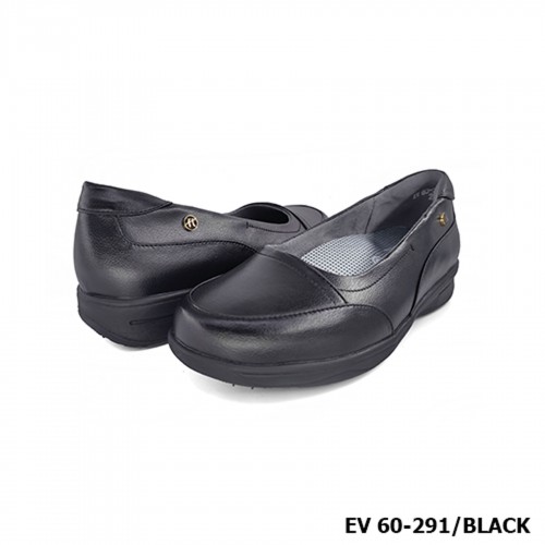 D291 Model EV 60-291 D291 Model EV 60-291