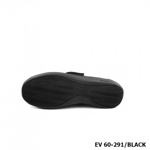 D291 Model EV 60-291 D291 Model EV 60-291
