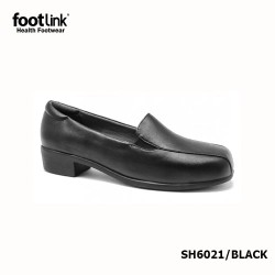 D21 Model SH 6021    