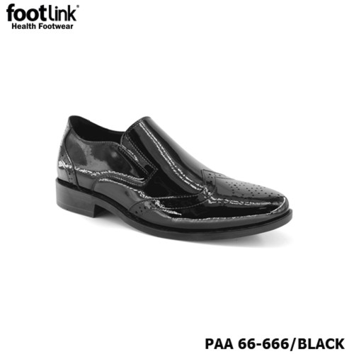 D666 Model PAA 66-666